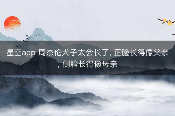 星空app 周杰伦犬子太会长了， 正脸长得像父亲， 侧脸长得像母亲