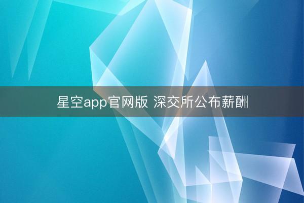 星空app官网版 深交所公布薪酬