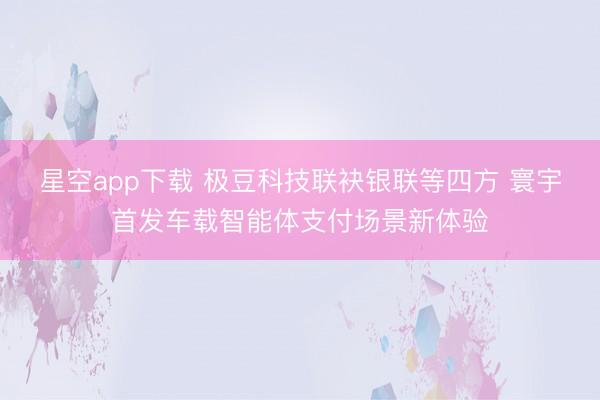 星空app下载 极豆科技联袂银联等四方 寰宇首发车载智能体支付场景新体验