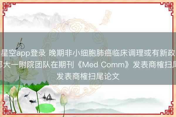 星空app登录 晚期非小细胞肺癌临床调理或有新政策 | 郑大一附院团队在期刊《Med Comm》发表商榷扫尾论文