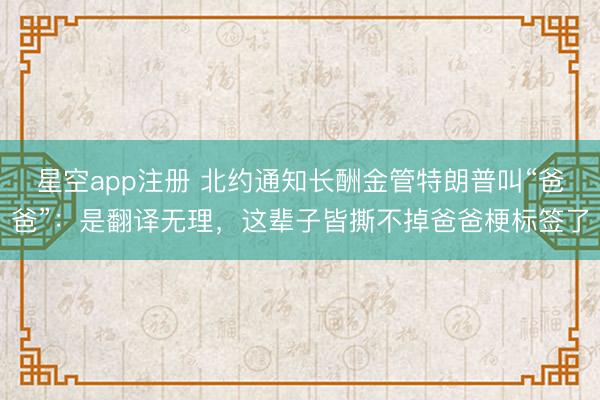 星空app注册 北约通知长酬金管特朗普叫“爸爸”：是翻译无理，这辈子皆撕不掉爸爸梗标签了