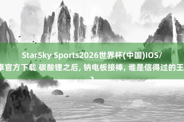 StarSky Sports2026世界杯(中国)IOS/安卓官方下载 碳酸锂之后, 钠电板接棒, 谁是信得过的王者?