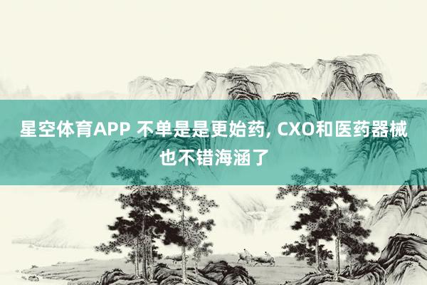 星空体育APP 不单是是更始药， CXO和医药器械也不错海涵了