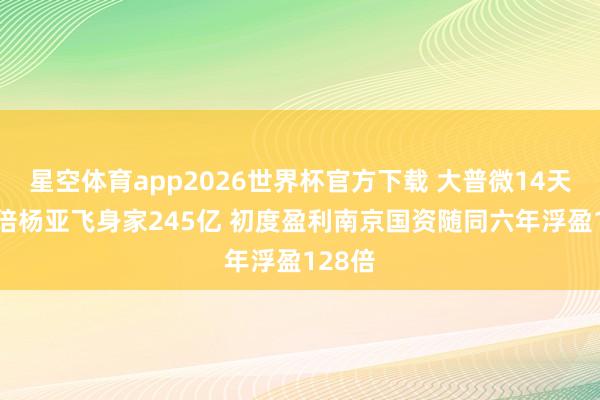 星空体育app2026世界杯官方下载 大普微14天涨10倍杨亚飞身家245亿 初度盈利南京国资随同六年浮盈128倍