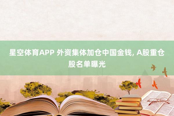 星空体育APP 外资集体加仓中国金钱， A股重仓股名单曝光