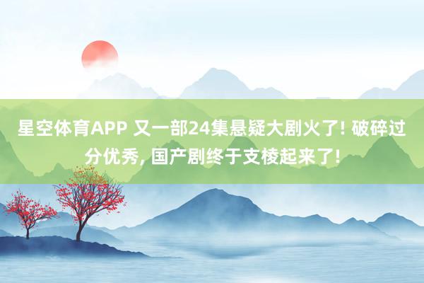 星空体育APP 又一部24集悬疑大剧火了! 破碎过分优秀, 国产剧终于支棱起来了!