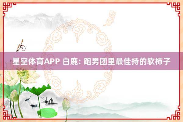 星空体育APP 白鹿: 跑男团里最佳持的软柿子