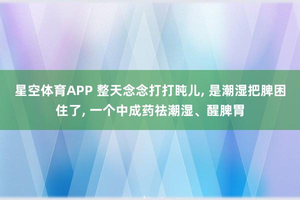 星空体育APP 整天念念打打盹儿, 是潮湿把脾困住了, 一个中成药祛潮湿、醒脾胃