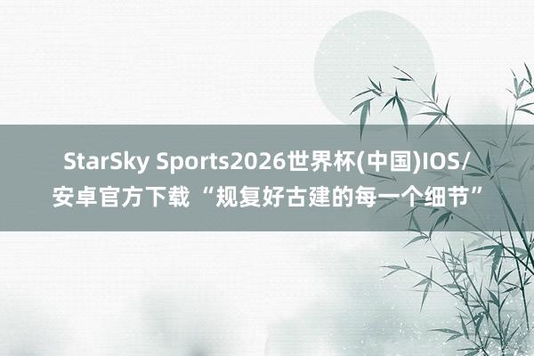 StarSky Sports2026世界杯(中国)IOS/安卓官方下载 “规复好古建的每一个细节”