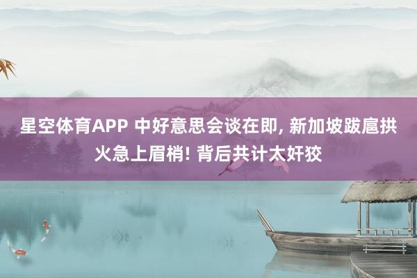 星空体育APP 中好意思会谈在即, 新加坡跋扈拱火急上眉梢! 背后共计太奸狡
