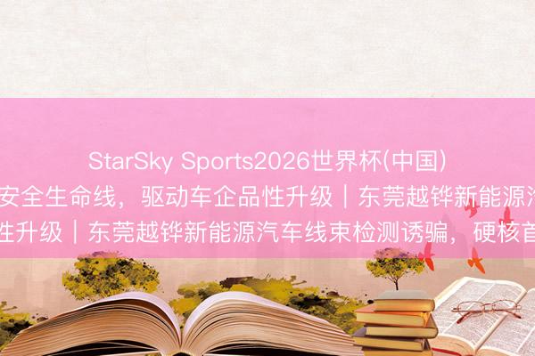 StarSky Sports2026世界杯(中国)IOS/安卓官方下载 筑牢高压安全生命线，驱动车企品性升级｜东莞越铧新能源汽车线束检测诱骗，硬核首选