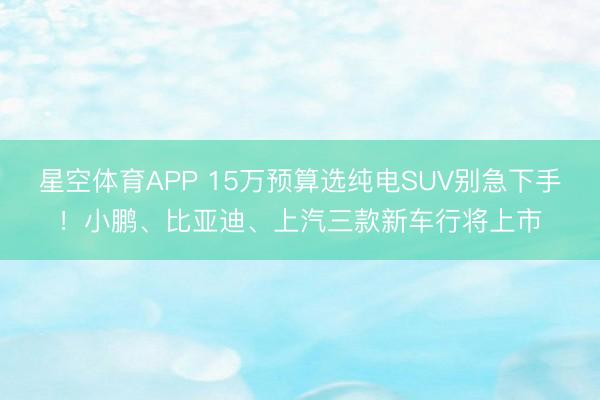 星空体育APP 15万预算选纯电SUV别急下手!小鹏、比亚迪、上汽三款新车行将上市