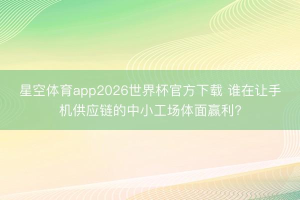 星空体育app2026世界杯官方下载 谁在让手机供应链的中小工场体面赢利?