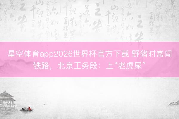 星空体育app2026世界杯官方下载 野猪时常闯铁路，北京工务段：上“老虎尿”