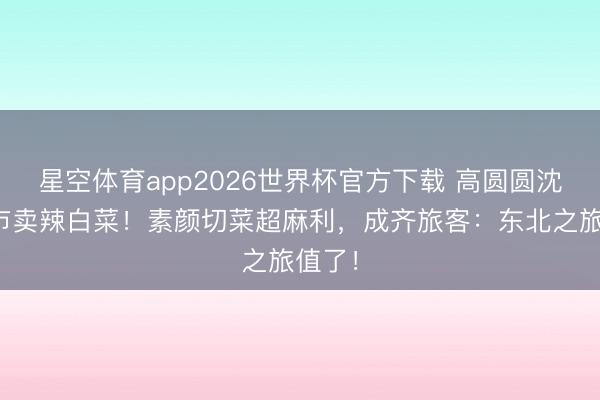 星空体育app2026世界杯官方下载 高圆圆沈阳早市卖辣白菜！素颜切菜超麻利，成齐旅客：东北之旅值了！