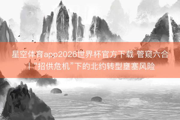 星空体育app2026世界杯官方下载 管窥六合丨“招供危机”下的北约转型壅塞风险